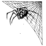 web2.gif (2549 bytes)
